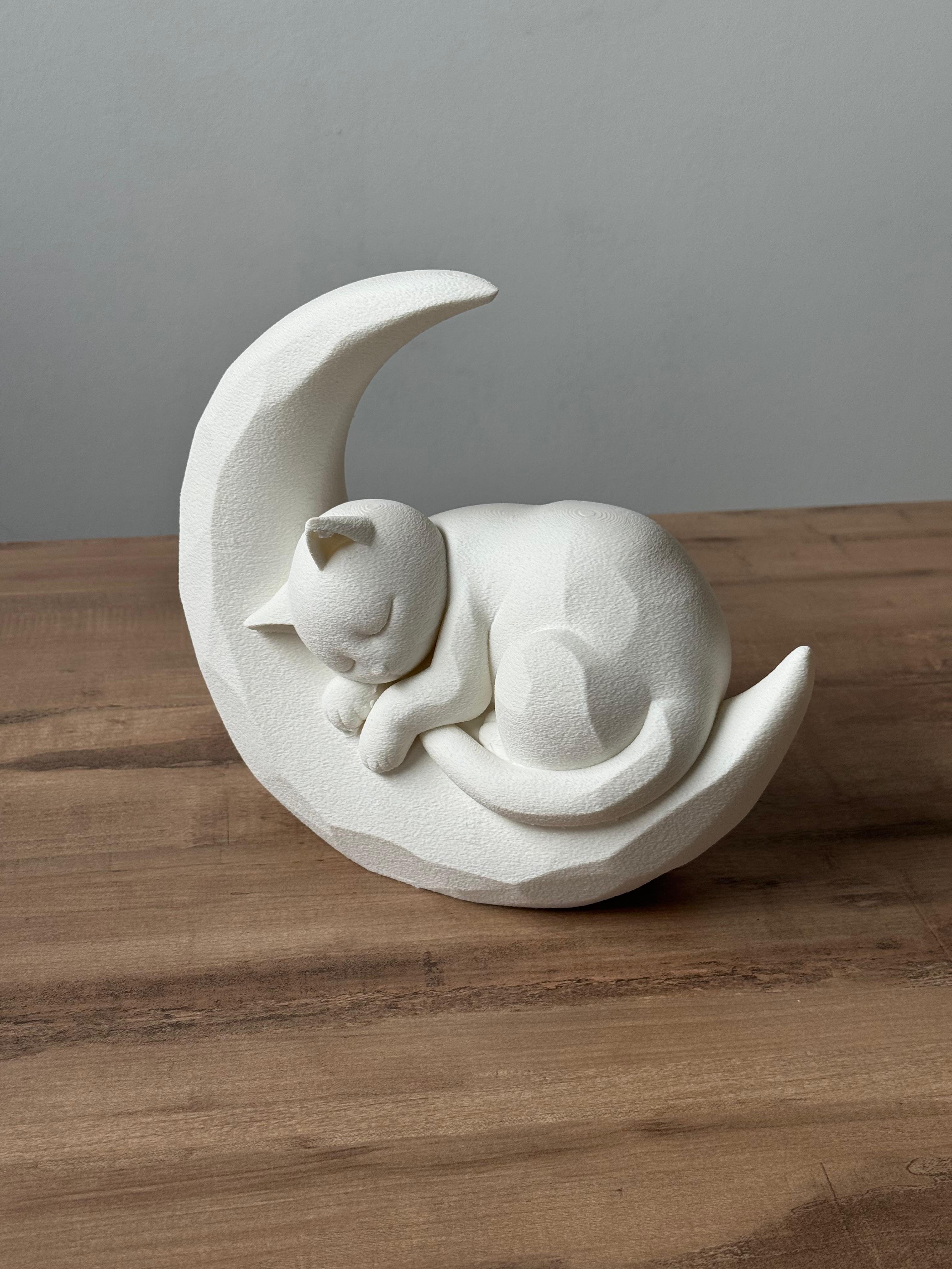 Sleeping kitten on moon