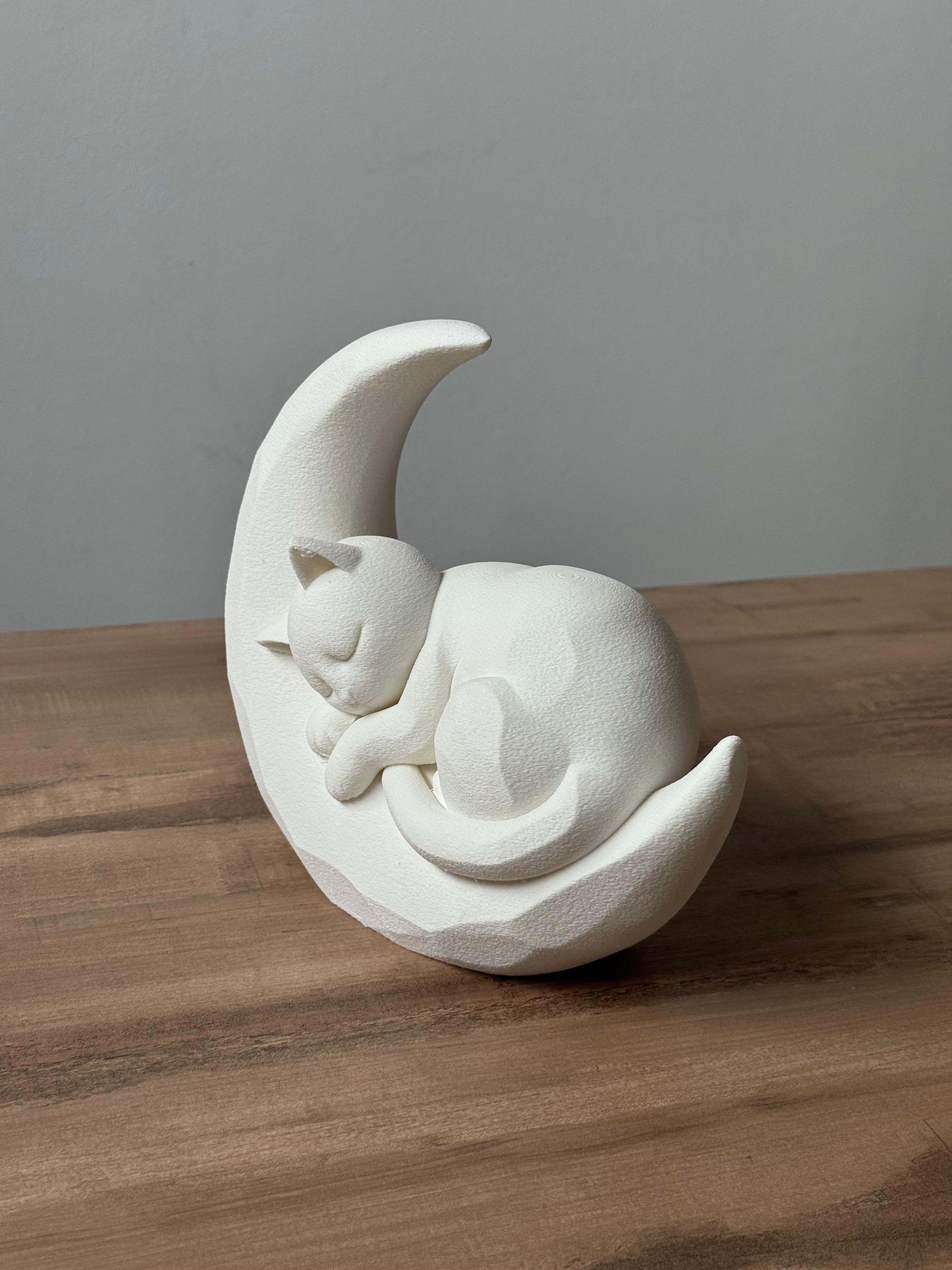Sleeping kitten on moon