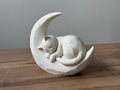 Sleeping kitten on moon